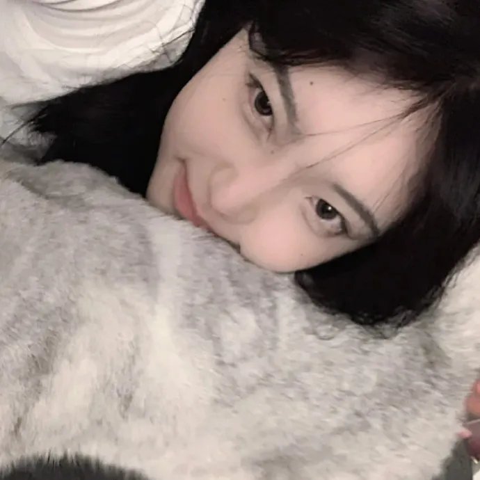暴龙真相