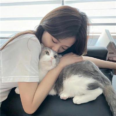 纽约司机