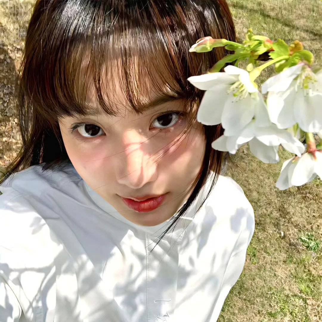 香岛美人窝