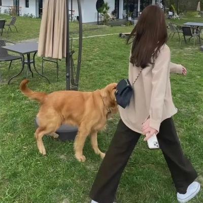 波兰爱经